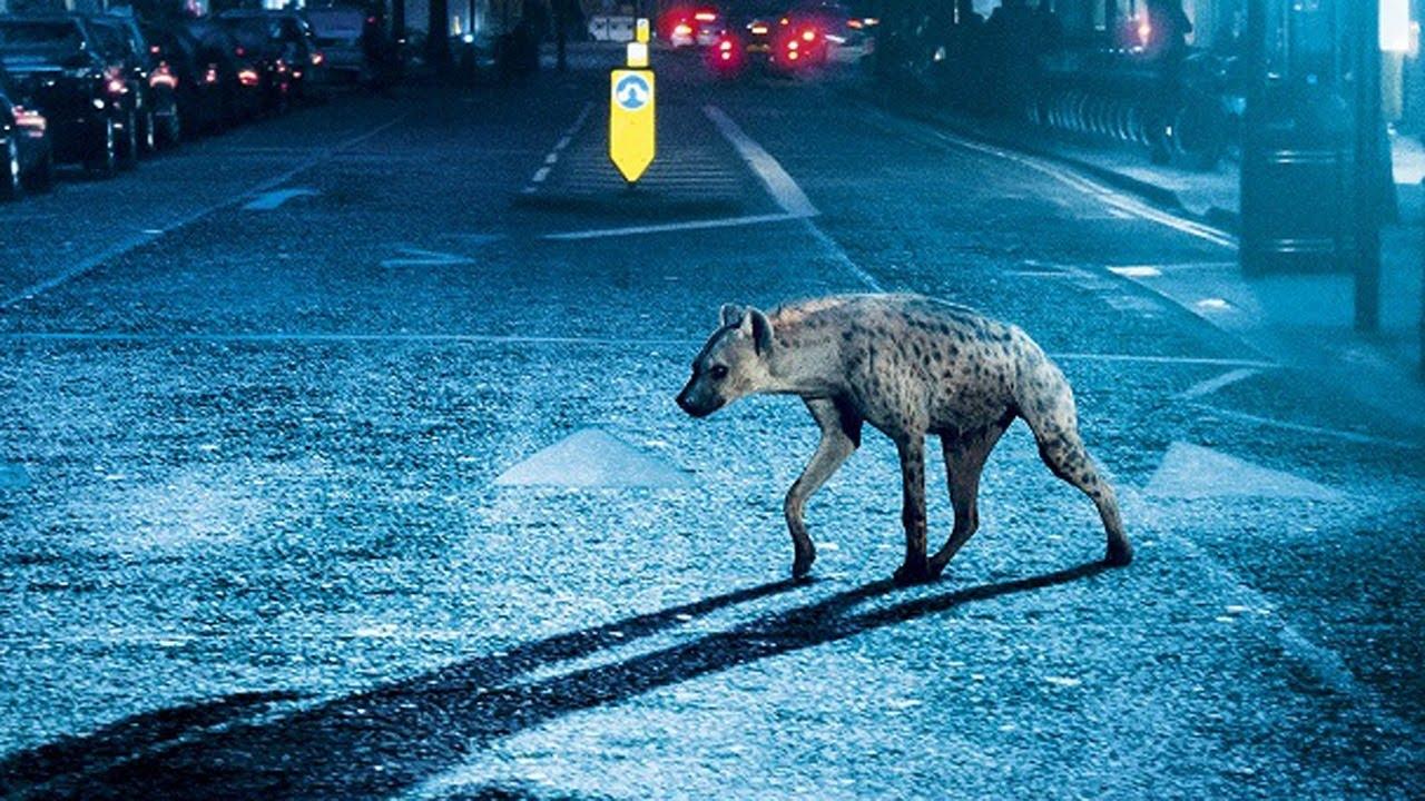 Кадр з фільму